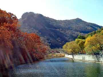 新澳天天开奖资料大全旅游团，千百度站群